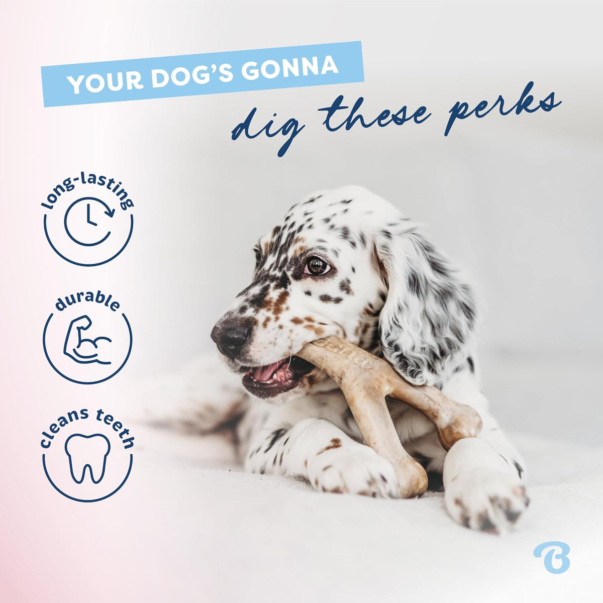 Benebone Puppy - Paquete de 2 masticables dentales para Pollo/espoleta