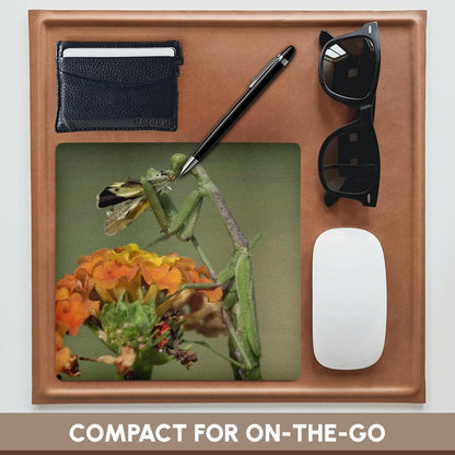 3dRose 8 X 8 X 0.25 Inches Praying Mantis insect, Butterfly Prey, Texas Rolf Nussbaumer Mouse Pad (mp_84332_1)