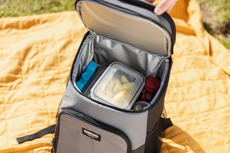 Igloo Maxcold Ice Blocks, Long Lasting Cold Freezer Ice Packs
