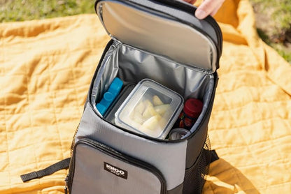 Igloo Maxcold Ice Blocks, Long Lasting Cold Freezer Ice Packs