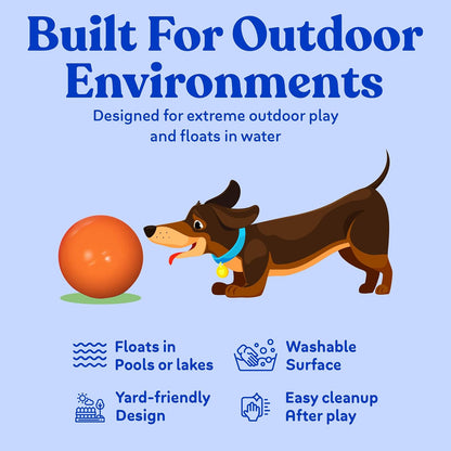Virtually Indestructible Best Ball for Dogs, 4.5 Pulgadas, los Colores Pueden Variar