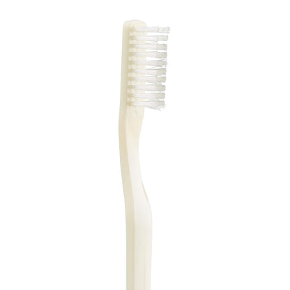 Medline MDS136000 Latex Free Individually Wrapped Adult Toothbrushes (Pack of 144)