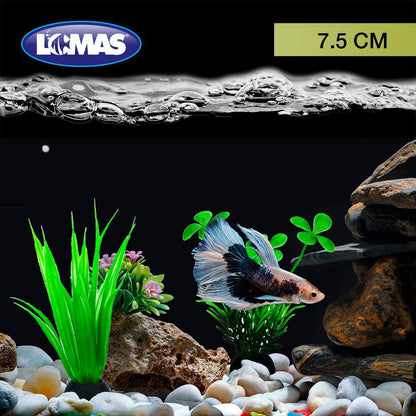 Lomas Grava P/Acuario - Grano Grueso 3 kg + Plantas para Acuario 3" (7.5 cm), 6 Piezas
