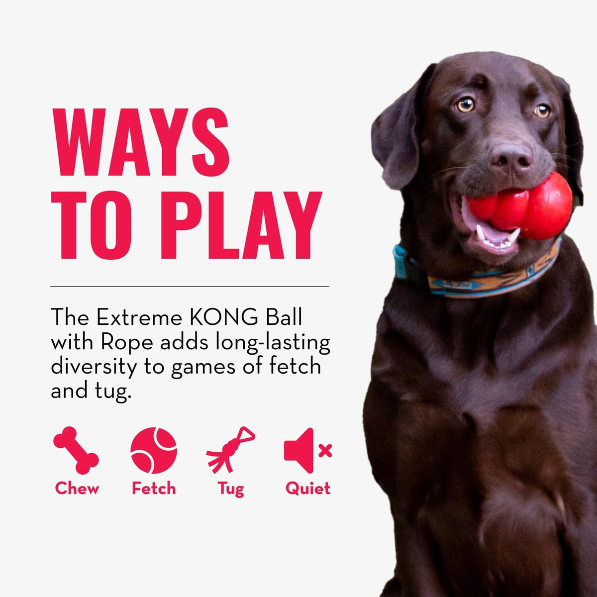 Kong Extreme Pelota de Caucho con Cuerda para Perros Grandes