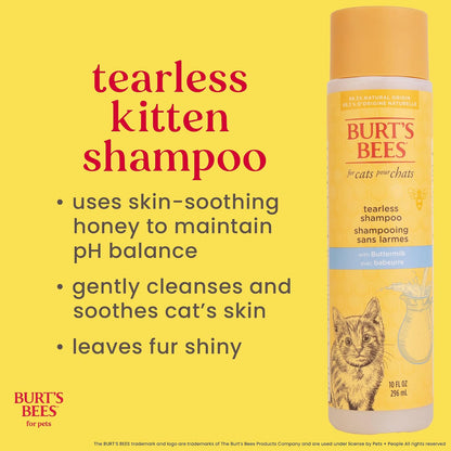 Burt's Bees for Kittens Champú Sin Lágrimas SC04472 | 10 oz, 1 paquete, con suero de leche, sin fragancia