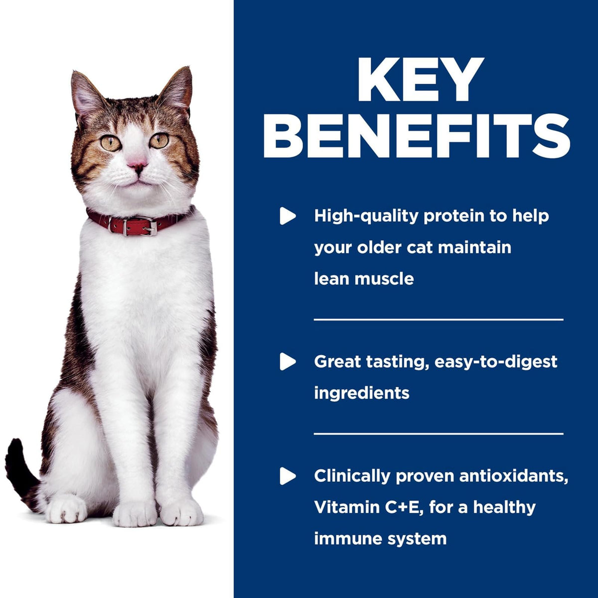 Hill's Science Diet Alimento Húmedo para Gato Adulto Pollo 24 Pack 79G | Alimento húmedo Hill's para gato, pollo real, digestión saludable, sistema inmunológico fuerte, omega-6 y vitamina E
