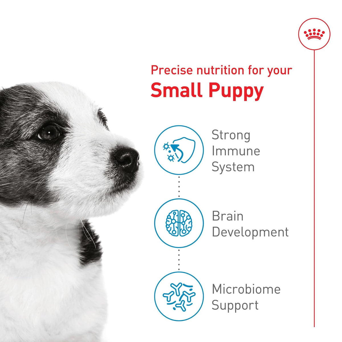 ROYAL CANIN- alimento para Perros Perros Small Puppy de 6.36 kg
