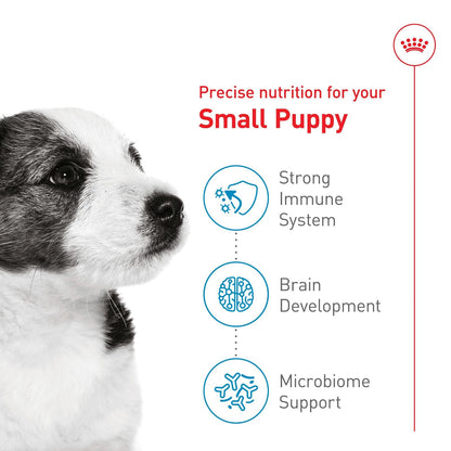 ROYAL CANIN- alimento para Perros Perros Small Puppy de 6.36 kg