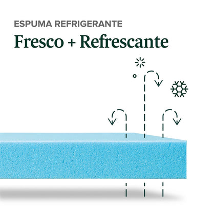 Zinus 15 cm de té Verde impregnado Colchón de Espuma viscoelástica con Gel refrescante/Colchón Adaptable de 7 Zonas/Espuma con certificación CertiPUR-US/Colchón en Caja/Colchón MX Queen
