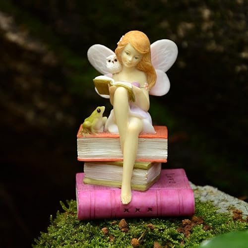 Top Collection Figura de Hadas en Miniatura para jardín y terrario, Leyendo sobre Libros con Rana y búho
