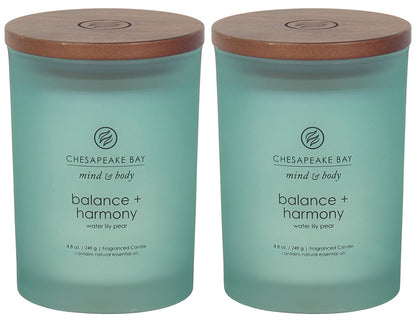 Chesapeake Bay Candle Vela Aromática en Jarra - Balance + Harmony - Medium Jar