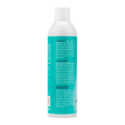 Fancy Pets Espuma P/BAÑO EN SECO Essentials 300 G