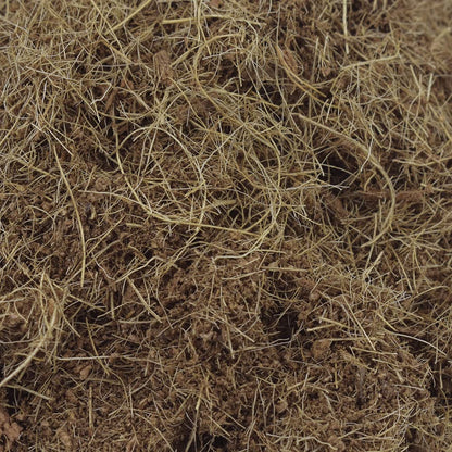Lomas Reptilia Sustrato de Coco para Reptiles y Anfibios 50% Fibra 50% Polvillo Alta Retención de Humedad 8 litros