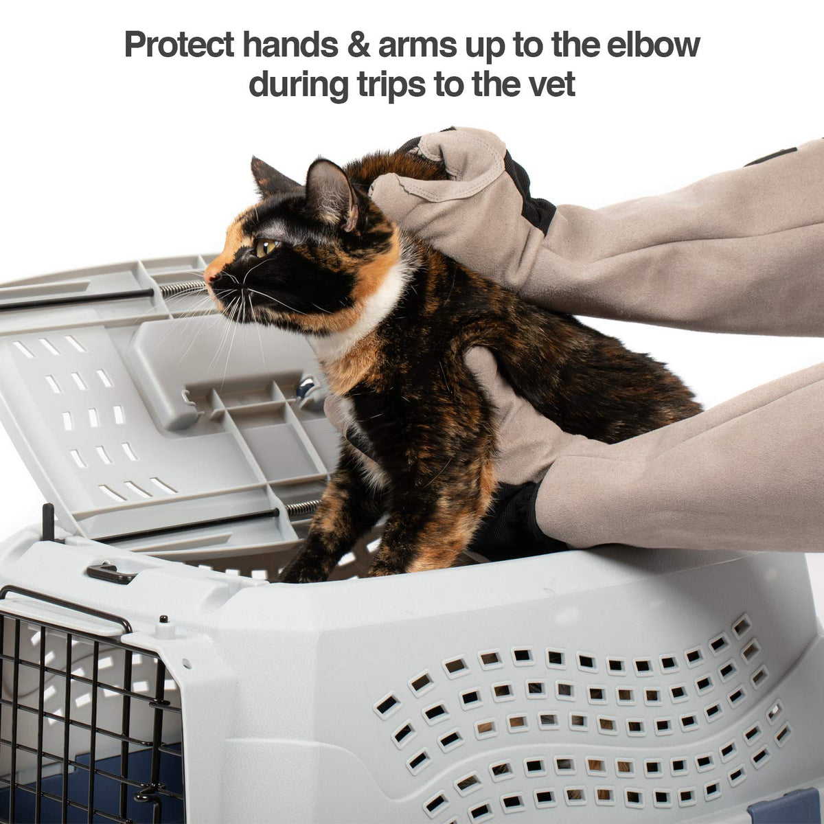 PetFusion Unisex Multi-purpose Pet Glove grooming glove (pack of 1)