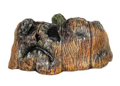 Ghoulish Productions Decoración Látex Calabaza Podrida Rotten Pumkin 5 | Decoración Halloween, Ideal Para Fiestas