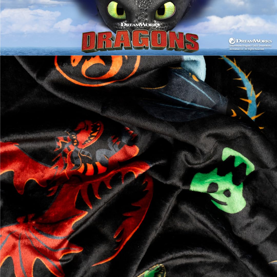 Franco How to Train Your Dragon - Ropa de Cama para niños sin Dientes súper Suave y acogedora, 46 x 60 Pulgadas, (Producto con Licencia Oficial)