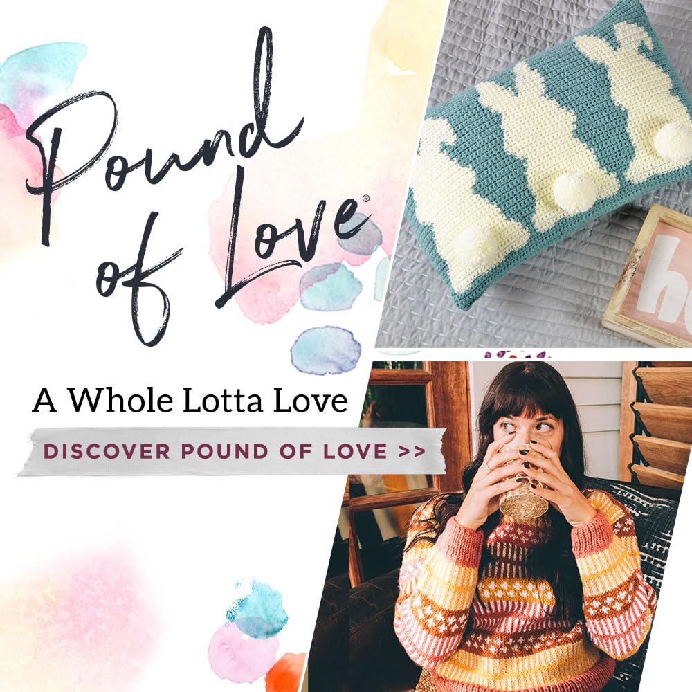 Lion Brand Yarn Pound of Love, hilo de gran valor para tejer, ganchillo y manualidades, popote, 1 paquete