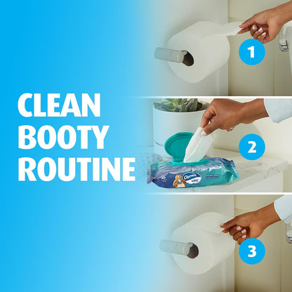 Charmin Flushable Wipes, 4 packs of 40 Flushable Wipes, 160 Total Wipes (Packaging May Vary)