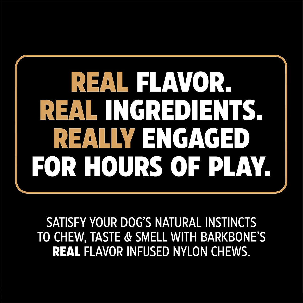 Pet Qwerks BBQ BarkBone Dog Chew Toys for Aggressive Chewers, Made in USA
