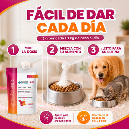 Fancy Pets Medical Solutions Colágeno Hidrolizado para Perros y Gatos - Suplemento para Articulaciones, Huesos y Piel Saludable, 200 g