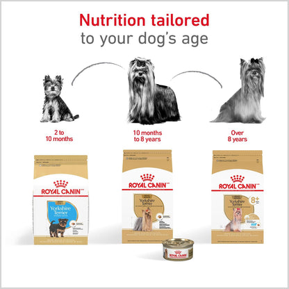 ROYAL CANIN Alimento Seco para Perro Adulto Raza Yorkshire Terrier, 4.5 kg