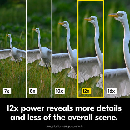 Nikon Action - Binocular de 12 x 50 | Óptica Revestimiento múltiple, Aumento de 12x de Alta Potencia, Lentes de Lente de 50 mm, Lentes Ajustables de Giro y Deslizamiento y diseño