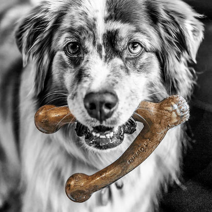Pet Qwerks BarkBone Wishbone, Juguete de Hueso masticable de Nailon con Sabor a Pavo Tostado, Mediano, 6.7 Pulgadas