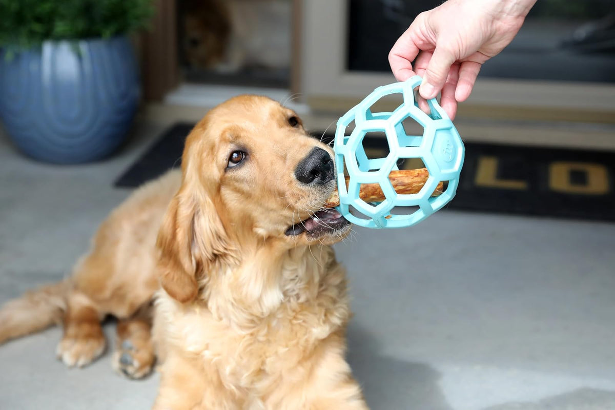 JW Pet HOL-EE Roller™, Bola de Rompecabezas de Juguete para Perro, Hule Natural, Grande (5.5 Pulgadas de diámetro), Azul