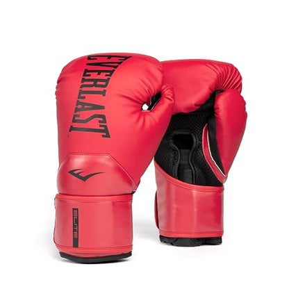 Everlast Boxing Gloves