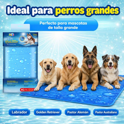 Fancy Pets Tapete Refrescante para Perros XGDE Aqua Cool | Autoenfriante, Portátil y No Tóxico | Uso Interior y Exterior