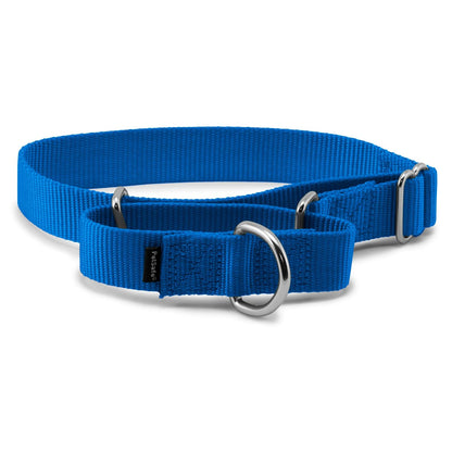 PetSafe Collar Martingale para Perro, Ajuste Antiescape - MEDIUM (NYLON WIDTH 1") - Azul rey