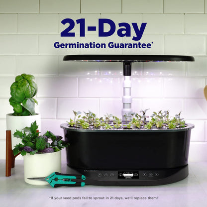AeroGarden Bounty Basic - Jardín interior con luz LED de crecimiento, color negro