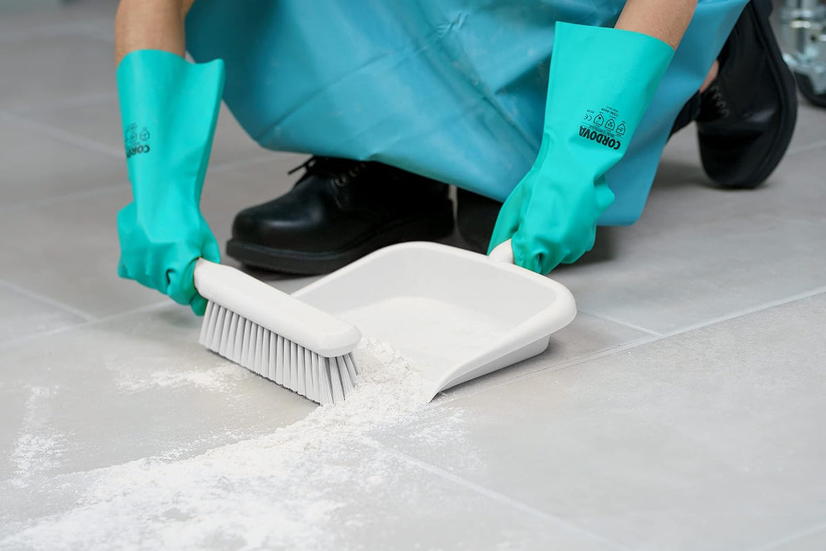SPARTA Large Handheld Dustpan with Hanging Hole, Heavy-Duty Plastic Dustpan with Wide Lip for Countertops and Surfaces, Plastic, 10 Inches, White
