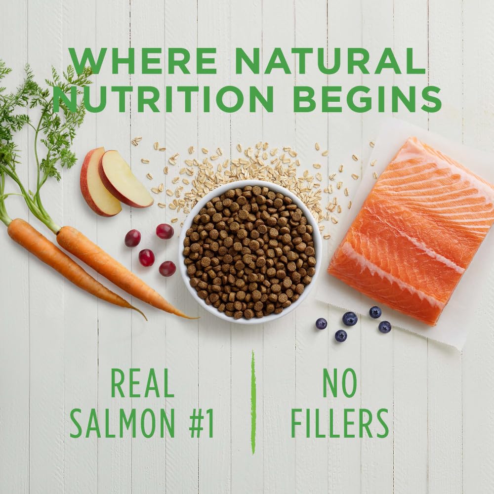 Instinct Be Natural Alimento para Perro, Receta de Salmón 10.8kg