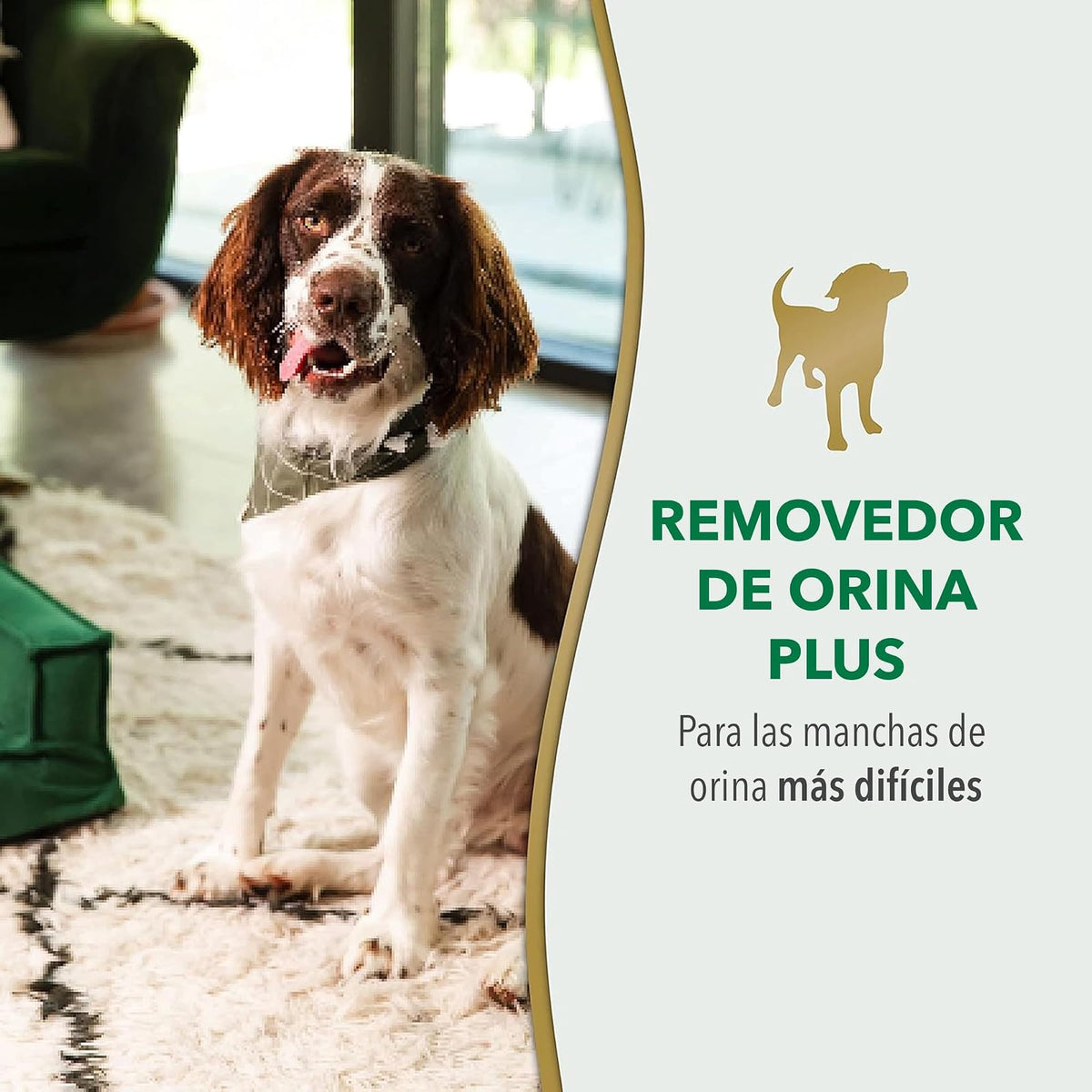 Nature's Miracle Destructor enzimático de orina y manchas para perro 946 ml