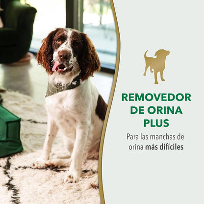 Nature's Miracle Destructor enzimático de orina y manchas para perro 946 ml