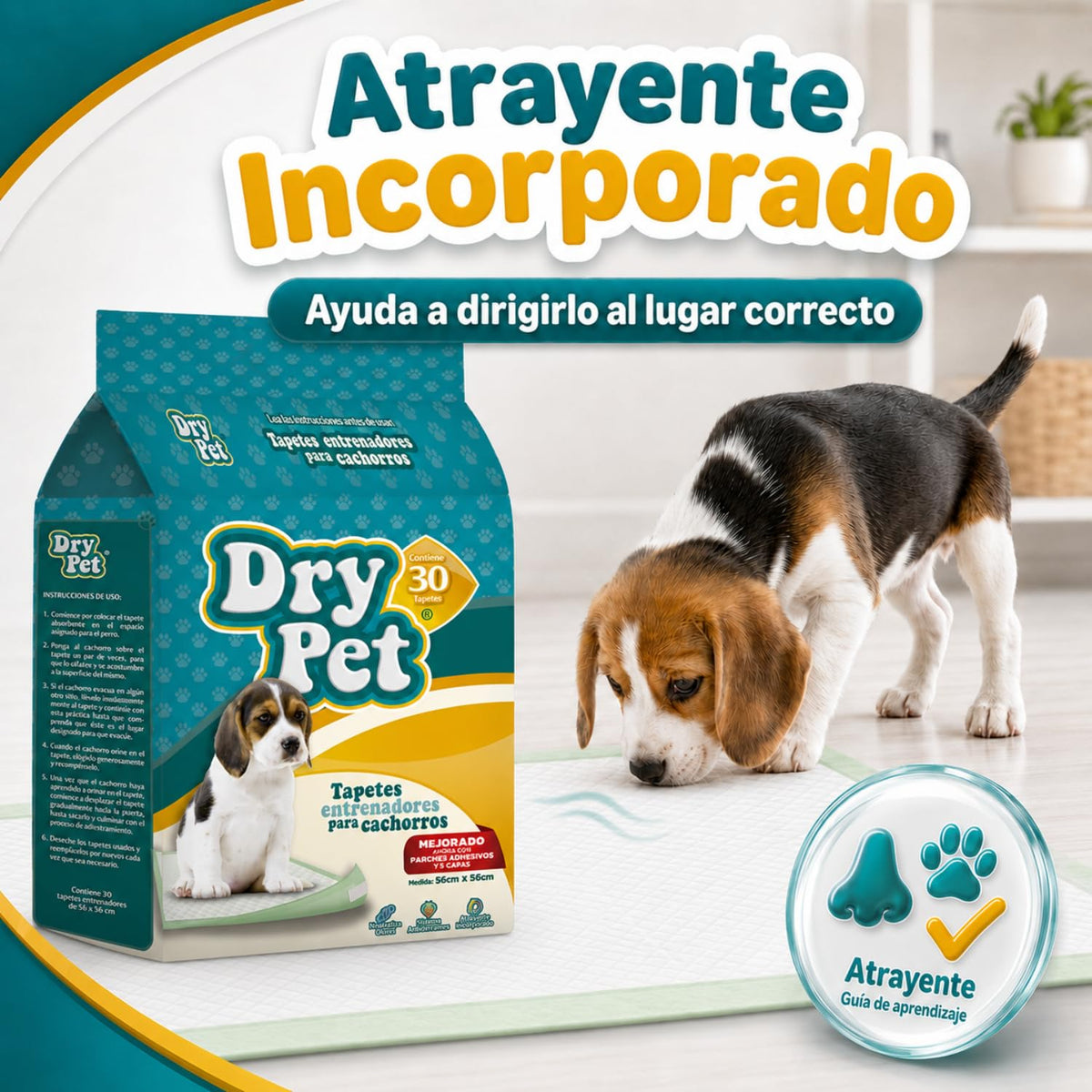 Dry Pet Tapete Entrenador para Perro de 30 Piezas