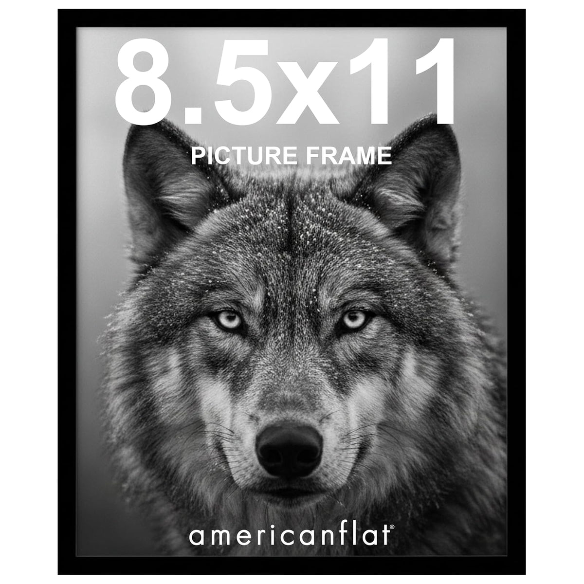 Americanflat Marco de Fotos con Vidrio Resistente - Negro - 21.59 x 27.94 cm (8.5x11 pulg.)