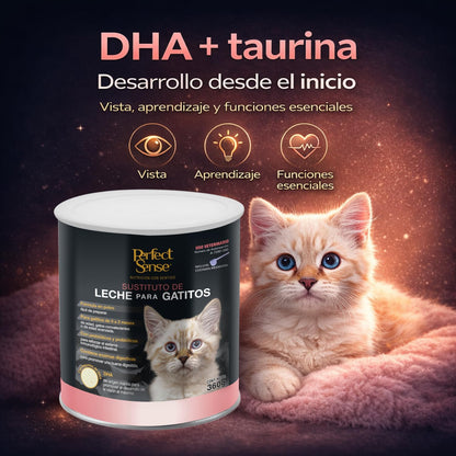 Perfect Sense Sustituto de Leche para Gatitos 360 g con Prebióticos, Probióticos, Enzimas Digestivas y DHA de Origen Marino