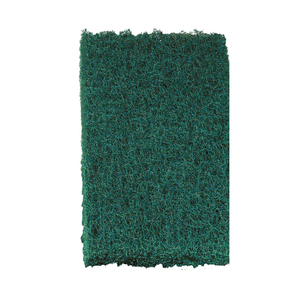 3M 228 Scotch-Brite Heavy Duty Scour Pad, 8 Count