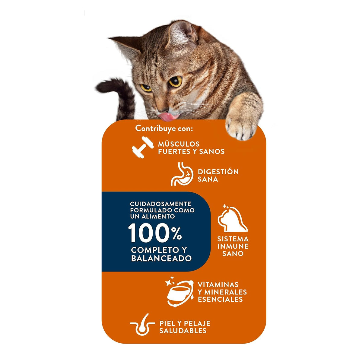 Gatina - Gatina Croquetas para Gato Adulto 9 Kg Pollo