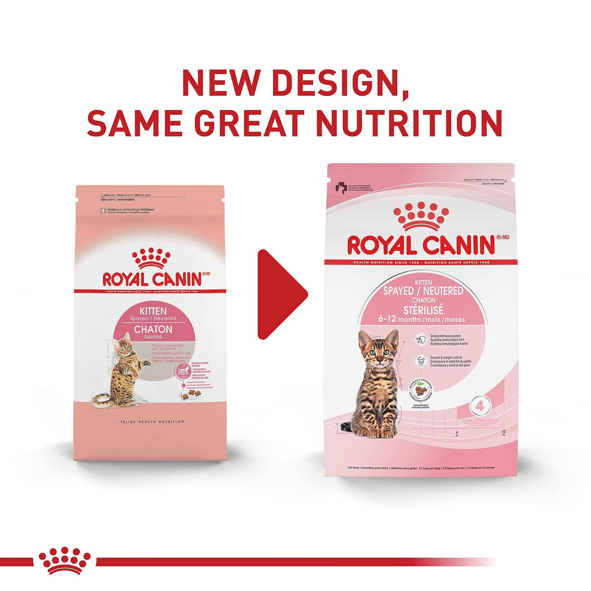 ROYAL CANIN Kitten para Gatito Esterilizado 1.1 Kg
