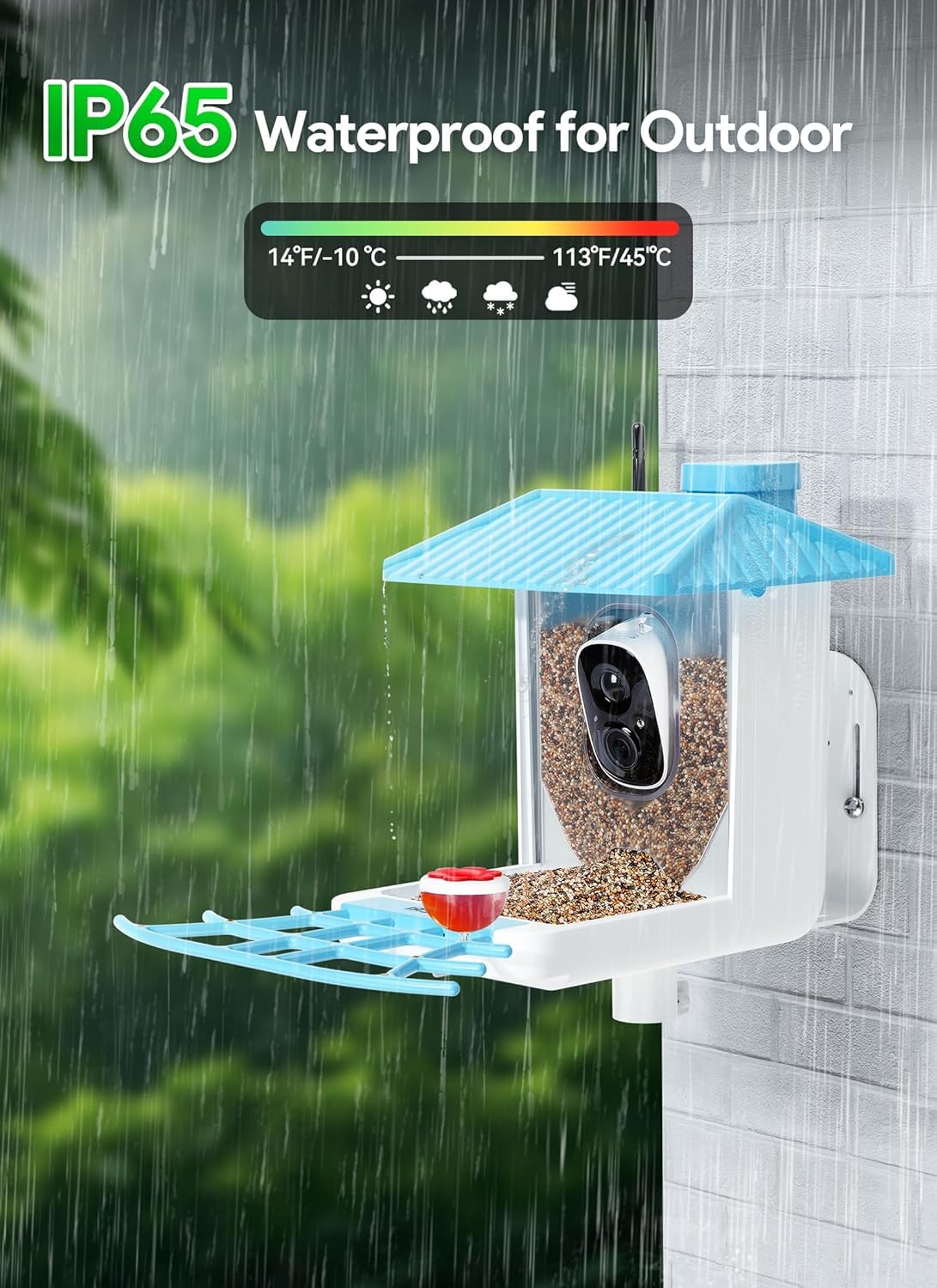 Osoeri - Alimentador Inteligente para pájaros con cámara, cámara de observación de Aves Silvestres HD de 1080P, Captura automática de Videos de Aves y detección de Movimiento