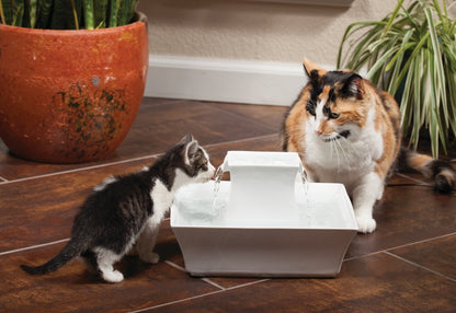 PetSafe Drinkwell Pagoda Pet Fountain - from in Knoxville, TN - Dog Water Bowl Dispenser - Multiple Angles to Drink from - Filters Included - Dog Fountain Provides Water When Power’s out - White