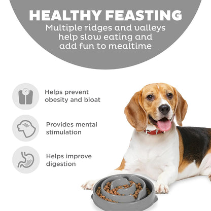 Outward Hound Fun Feeder Slo Bowl, Slow Feeder Dog Bowl, Medium, Grey
