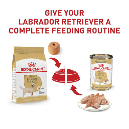 ROYAL CANIN Alimento Seco para Perro Adulto Raza Labrador Retriever, 7.7 kg