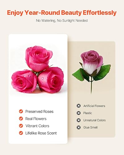 VEVOR 27 Rosas Eternas en Caja Redonda, Ramo de Flores Preservadas, Caja de Regalo de Flores para Esposa, Madre, Pareja, Boda, Día de la Madre, San Valentín, Navidad, Rosa Roja, 227 x 227 x 140 mm