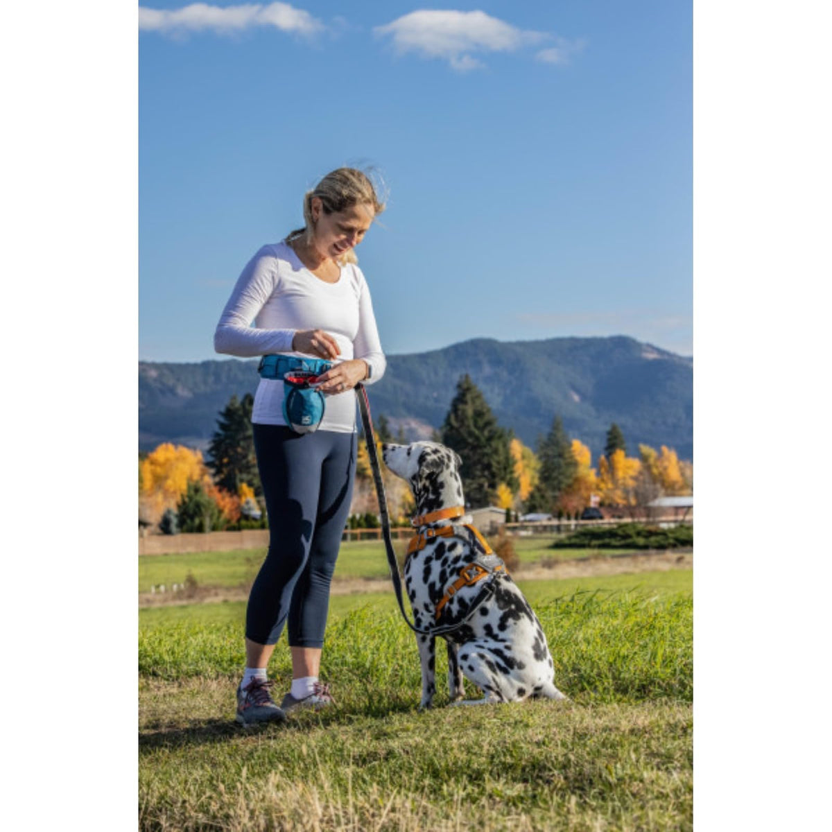 Kurgo Dog Training Treat Pouch Bag, Treat Bags for Dogs, Portable Pet Pocket Waist Clip Bag, Reflective Snack Bag for Pets, Includes Clip & Carabiner, Go Stuff-It Bag, Coastal Blue