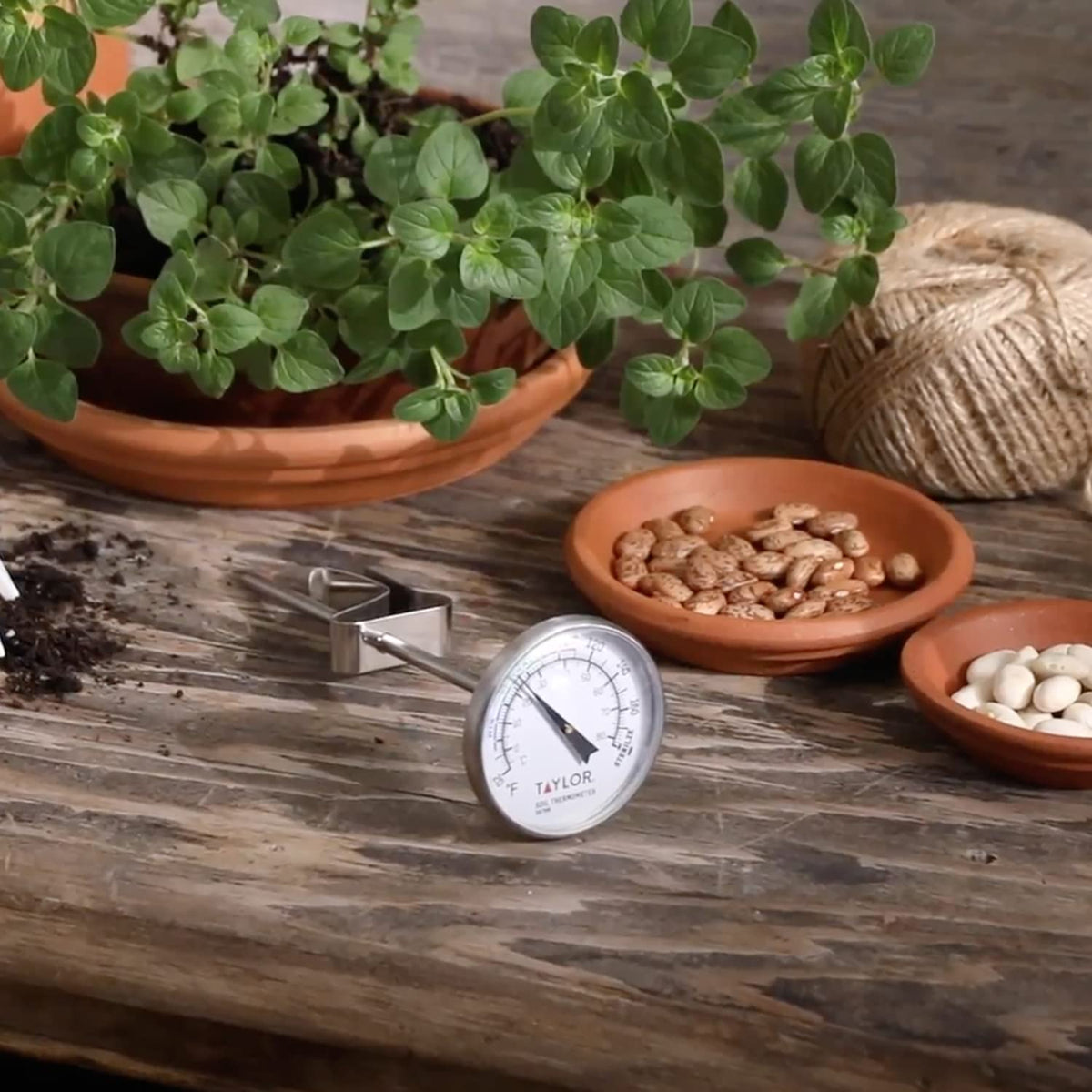 Taylor Termómetro de Piso, Herramienta de Jardinería para Cuidado de Plantas, Césped, Granja, Uso al Aire Libre, Tallo de 4 Pulgadas