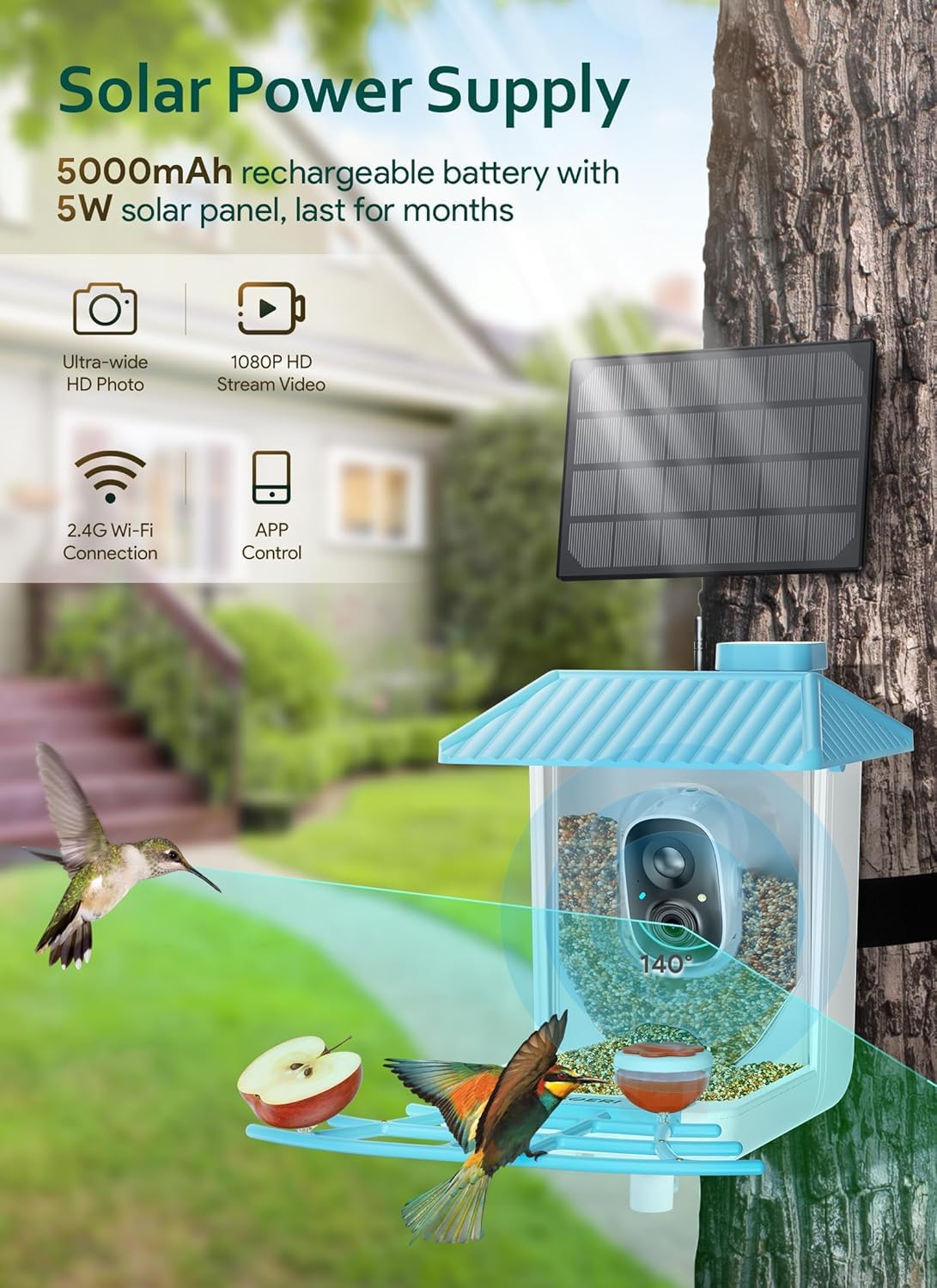 Osoeri - Alimentador Inteligente para pájaros con cámara, cámara de observación de Aves Silvestres HD de 1080P, Captura automática de Videos de Aves y detección de Movimiento